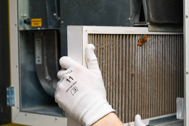 Best Air Duct Cleaning Near Me  in Liolnton, NC