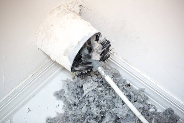 Best Residential Air Duct Cleaning  in Liolnton, NC